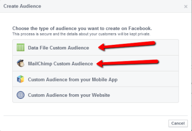 Facebook Ad Custom Audience