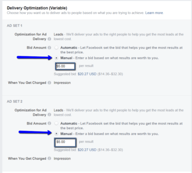 Facebook Bid Amount