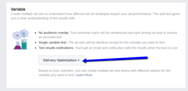 Facebook Delivery Optimization