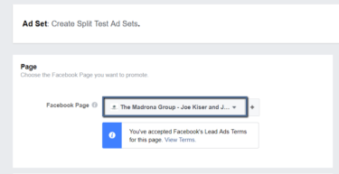 Select Your Facebook Page