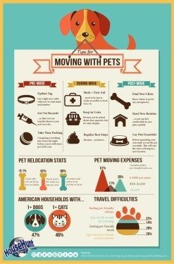 Tips For Moving With Pets