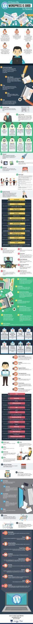 100 reasons why WordPress is the best real estate agent website