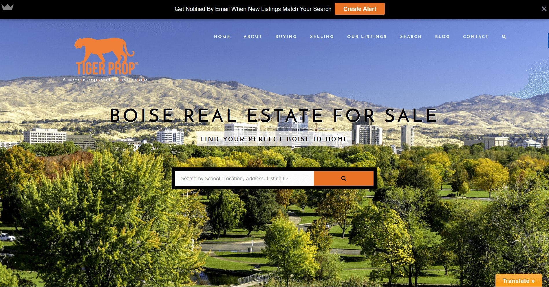 Boise ID Custom Real Estate Website