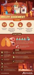 CAUSES OF MOLDY BASEMENTS