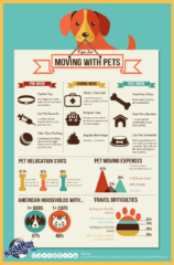 Tips For Moving With Pets