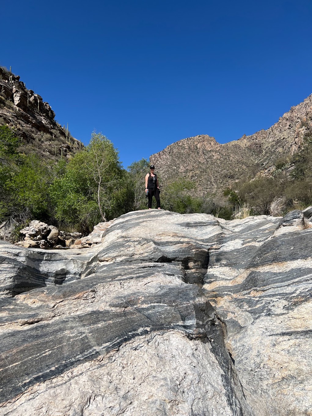 Sarah standing on striped rock during a Tucson desert hike