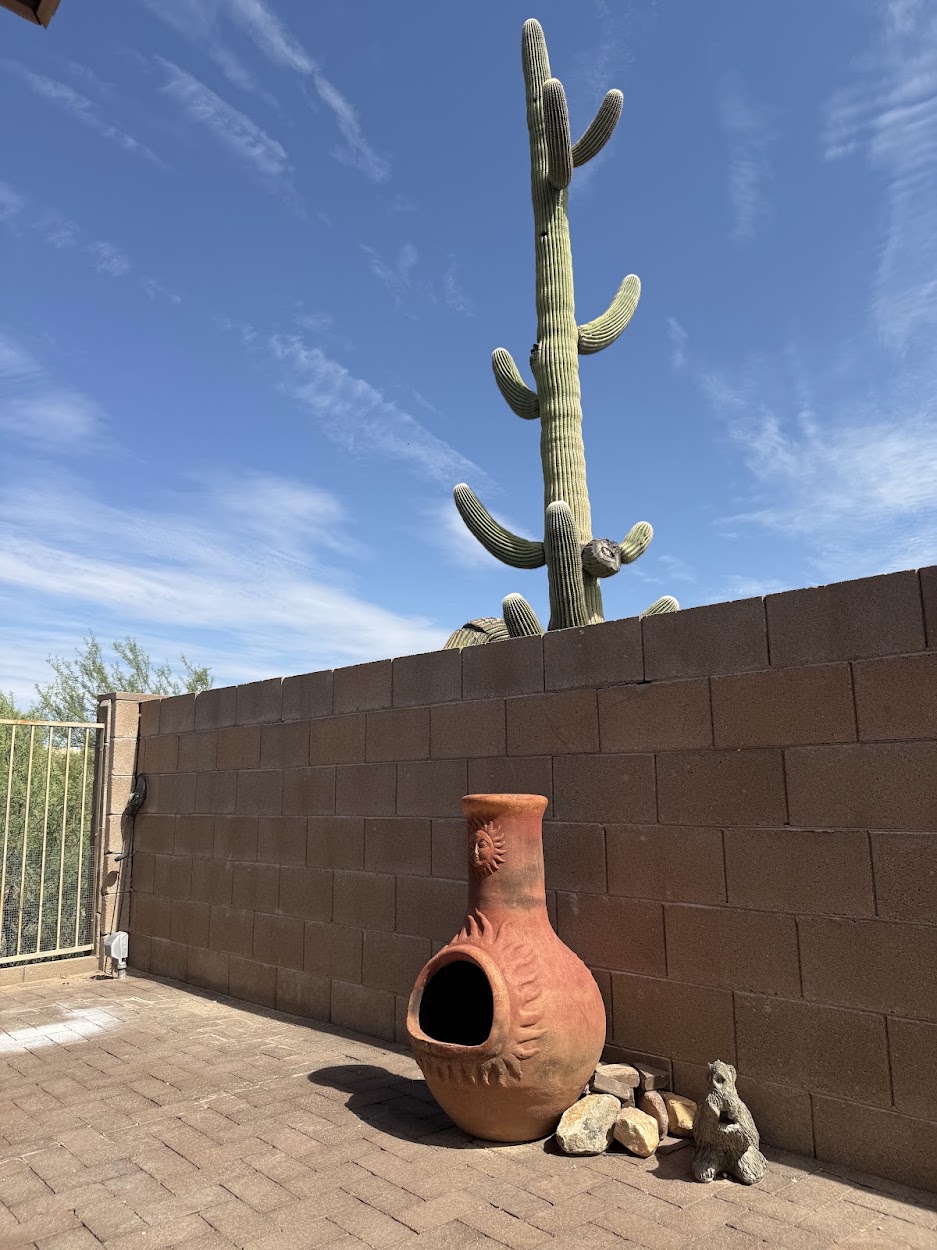 Small javelina stone carving beside a clay chiminea in a Tucson yard