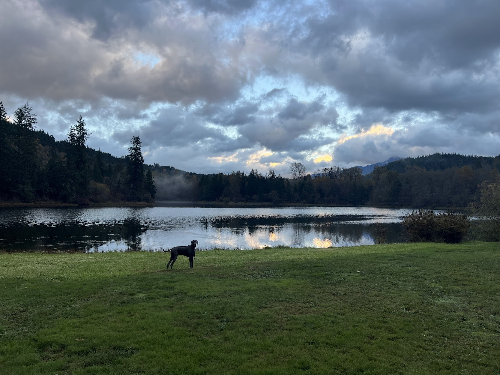 Bubba beside Lake Tyee at dusk beneath a cloudy sky.